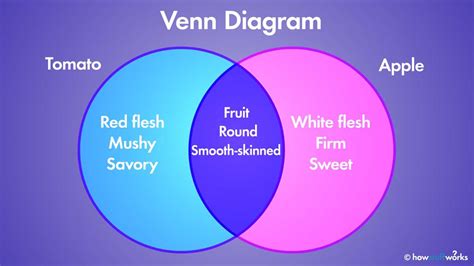 gumawa ng venn diagram|VENN DIAGRAM EXPLAINED.